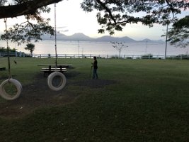 IMG_0252